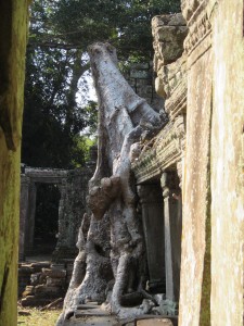 Ankor_wat-Tag_2-569